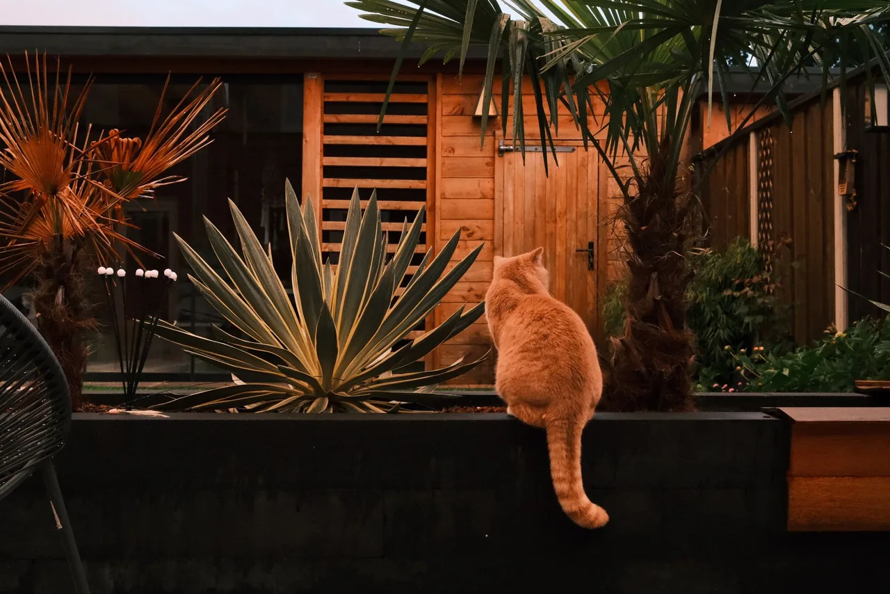 Outdoor Surfaces in a finished space
